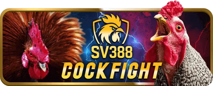 Giới thiệu nền tảng 09vip
